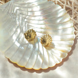 Shell Melody Auskari