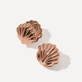 Shell Melody Auskari