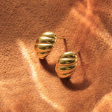 Zīda pākšaugi auskari